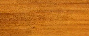 Honduras Mahogany – South America