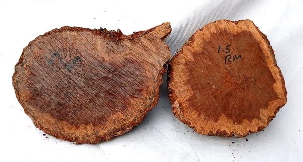 Burls- Pair of Red Mallee