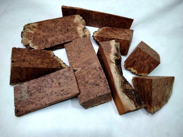 Burl Offcuts