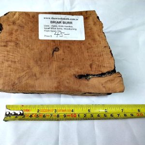 Spanish Briar Burr Piece