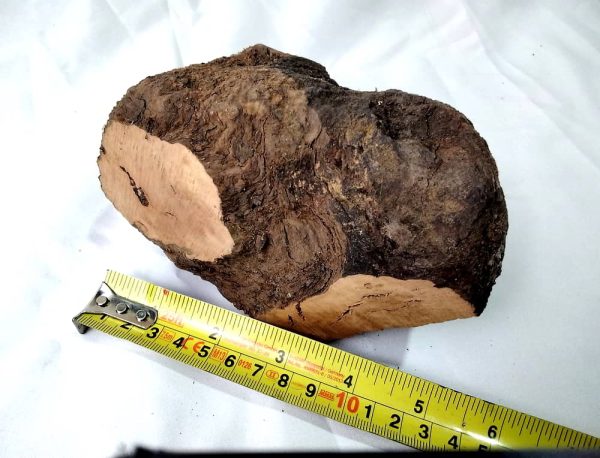 Spanish Briar Burr Piece - Image 2