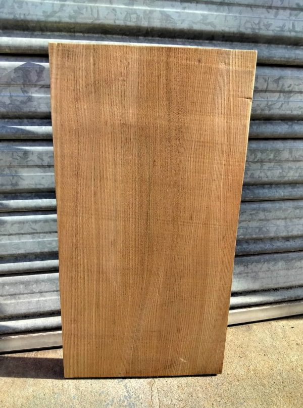 English Elm Short Board - Image 2