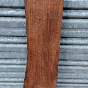 "FIJI" Long Board Unknown Species
