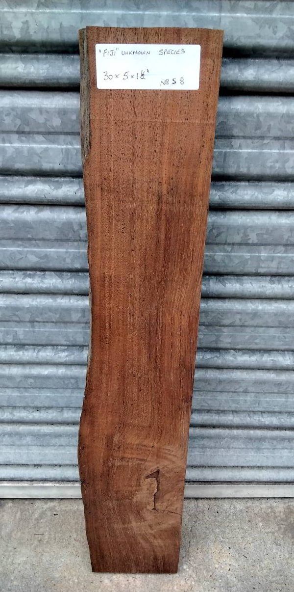 "FIJI" Long Board Unknown Species