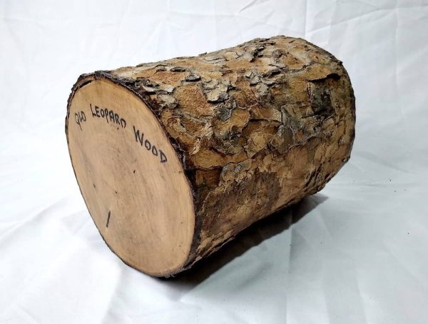 Limbwood - Qld Leopard Wood
