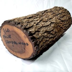 Limbwood - Qld False Sandalwood