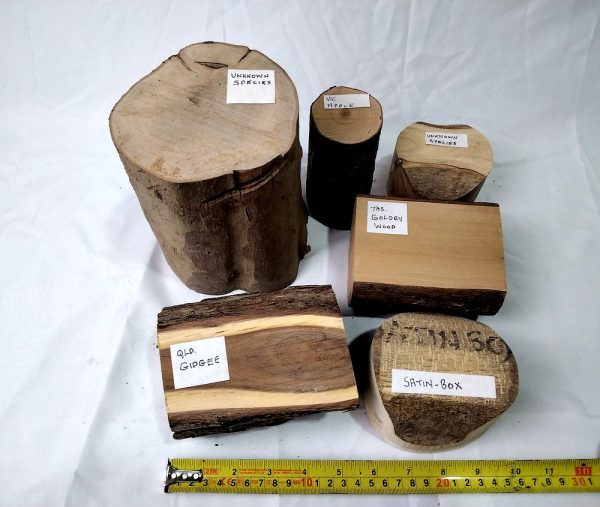 Small Pieces Wood Turning  Pack