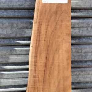 Tasmanian Blackwood Long Board