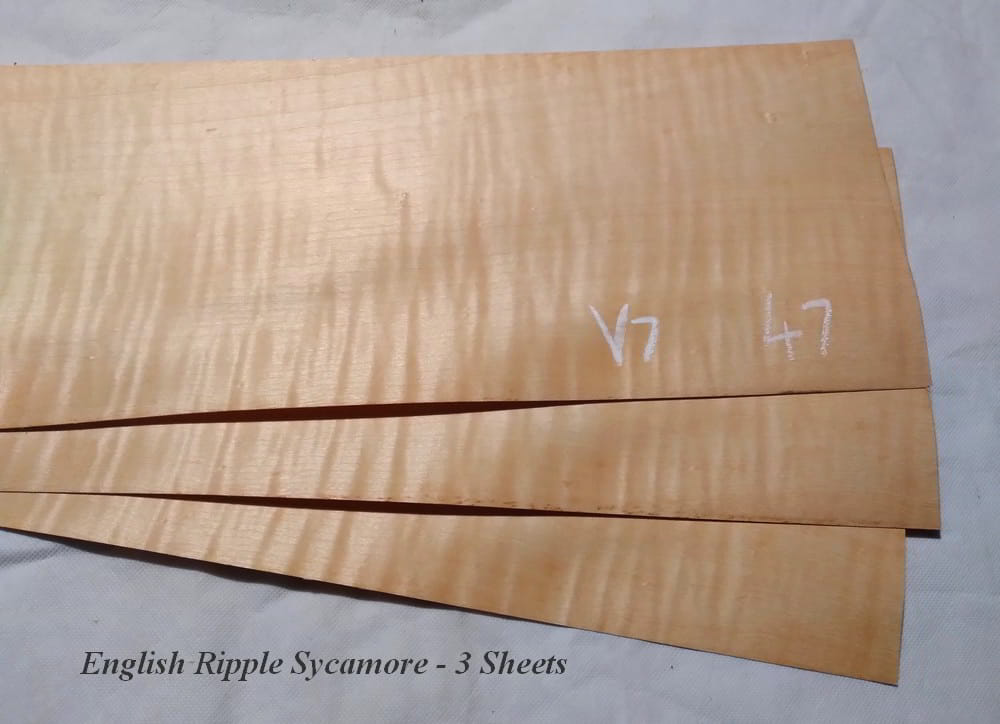 Veneer English Ash & Ripple Sycamore - Image 2