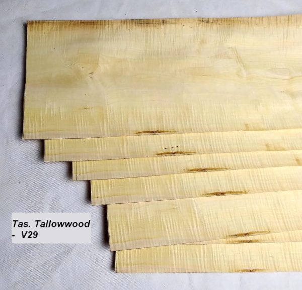 Veneer Tas. Tallowwood - Image 2