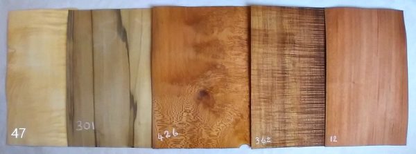 Wood Veneer Pack Mixed Species