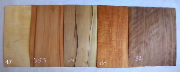 Wood Veneer Pack Mixed Species - Image 2