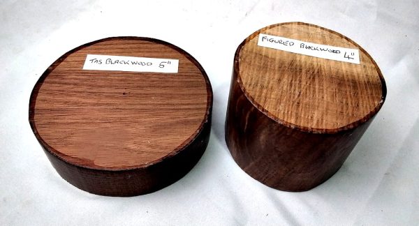 Bandsawn Discs - Blackwood & Figured Blackwood